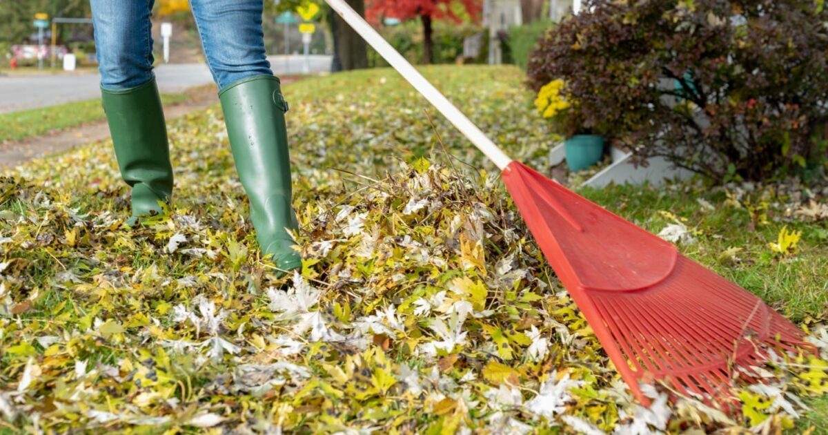 Outdoor Cleaning Sendoff Funeral App